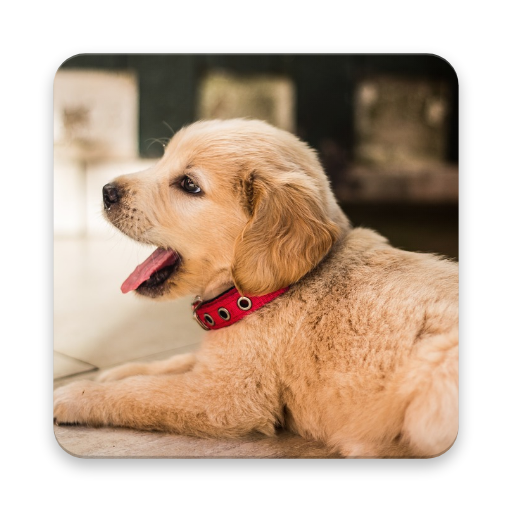 Dog Sounds - The Best Free Animal Sounds App icon