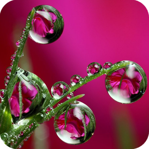 Water Drops Wallpaper icon