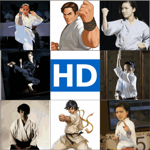 Karate Martial Arts HD Wallpaper icon