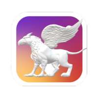 Insta Video Downloader