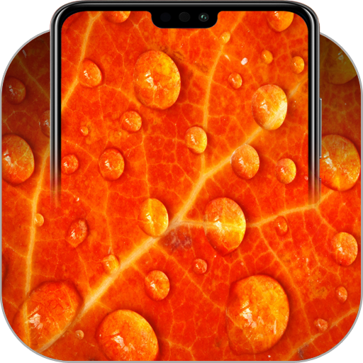 Orange Wallpapers icon