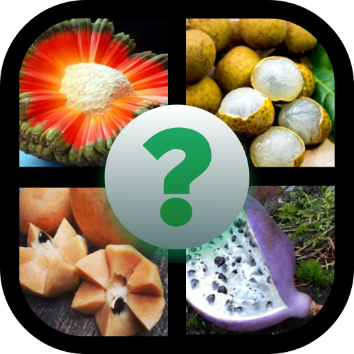Guess the Fruit icon