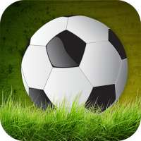 Soccer Championship 3D