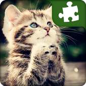 Cute Cats Puzzles - Free