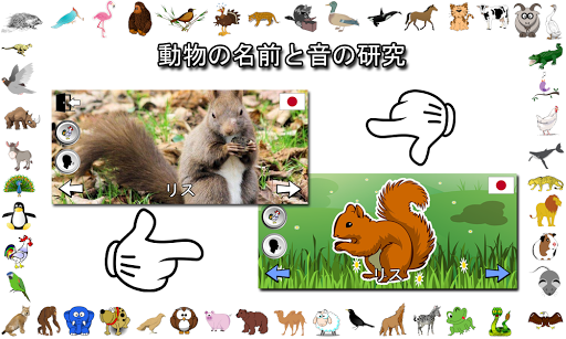 動物の名前 screenshot 3
