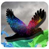 Hawk for Twitter on 9Apps