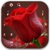 Red Rose Đàn organ điện tử on 9Apps