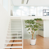 ikon صور وخلفيات للديكورات المنزلية الداخلية part2 4k