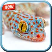 Amazing Wildlife Photo Frame on 9Apps