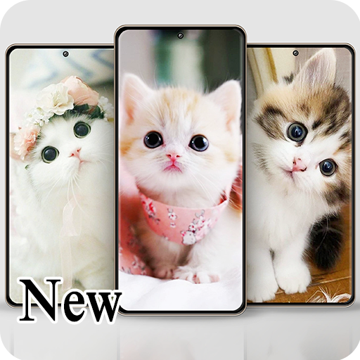 Cute Cats Wallpaper icon