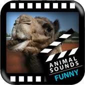 Best Funny Animals Sounds icon