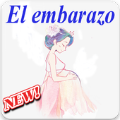 semanas de embarazo icon