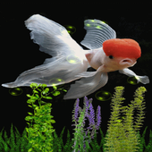 White Fish Bubble LWP icon