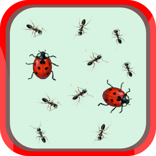 Ladybug and ants icon