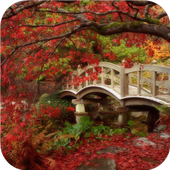 Beauty of asian gardens icon