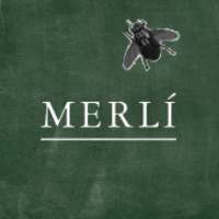 Merlin - Tu Personaje