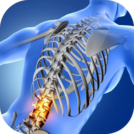 Back Pain - causes, symptoms, treatments icon