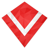 Vibion Widgets icon