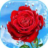 Flowers And Roses Gif on 9Apps