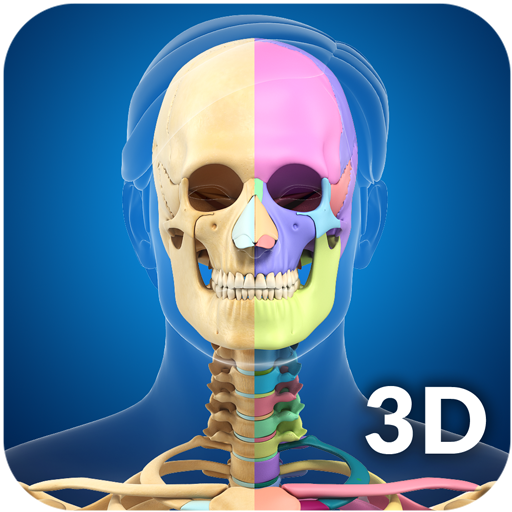 Skeleton Anatomy Pro. icon