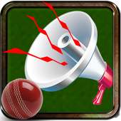 Cricket Stadium Horn