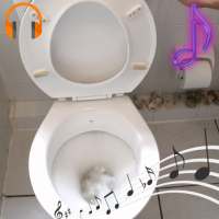 Toilet Flushing Sounds and Ringtones