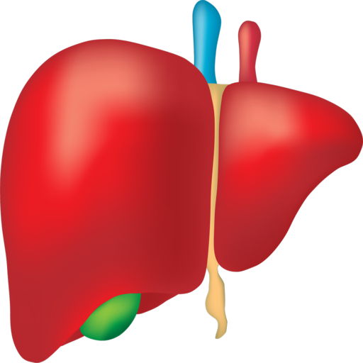 Hepatitis B Interactive icon