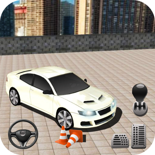 Indian Luxury Ideal Car Parking icon