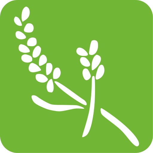 Guia de Aromaterapia icon