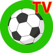 Football news: Bóng đá Tivi 