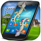 3D Lizard in phone Prank أيقونة