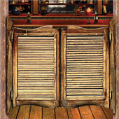 Saloon Door Lock Screen icon