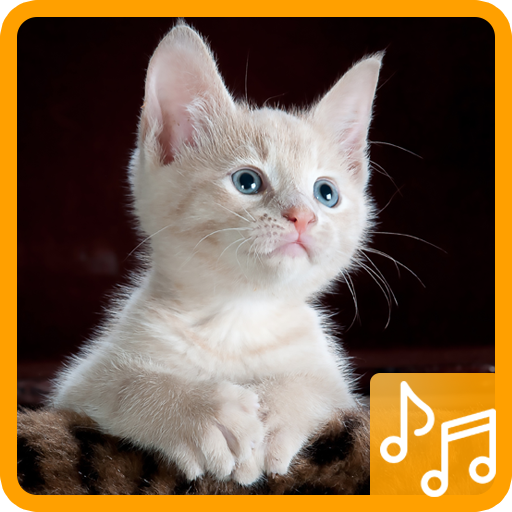 Cat Sound icon