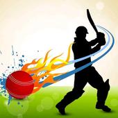 CRICKET GAME -  WORD SEARCH icon