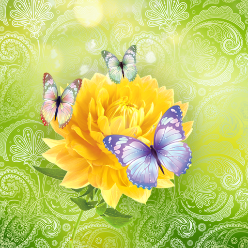 Cute Butterfly Live Wallpaper icon