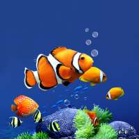 Aquarium Live Wallpaper HD on 9Apps