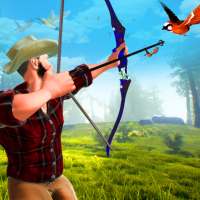 Archery Hunt Master: