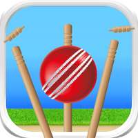 Cricket - Defend the Wicket