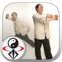 Tai Chi Qigong (YMAA)