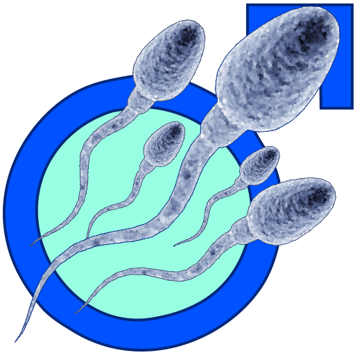 Increase Your Sperm Count icon