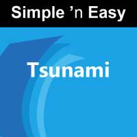 Tsunami on 9Apps