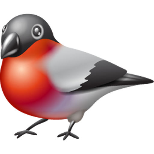 Bird Center: Kids Learn Birds icon