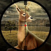 Deer Jungle Sniper Shooting icon