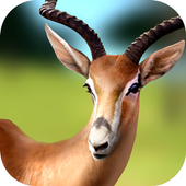 Survive in Jungle icon