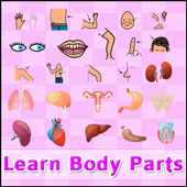 Learn body parts (Free) иконка