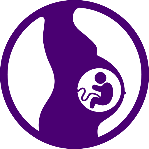 Embarazo semana a semana icon