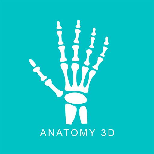 Anatomy 3D icon