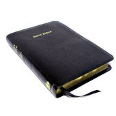 Mizo Bible Free icon