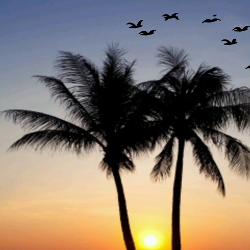 DayNight Multi Live Wallpaper icon