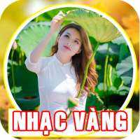 Nhạc Trữ Tình - Ca Nhạc Bolero Mới